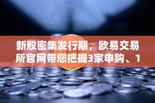 新股密集发行期，欧易交易所官网带您把握3家申购、1家缴款与1家上市的投资机遇