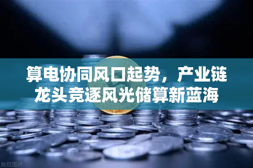 算电协同风口起势，产业链龙头竞逐风光储算新蓝海