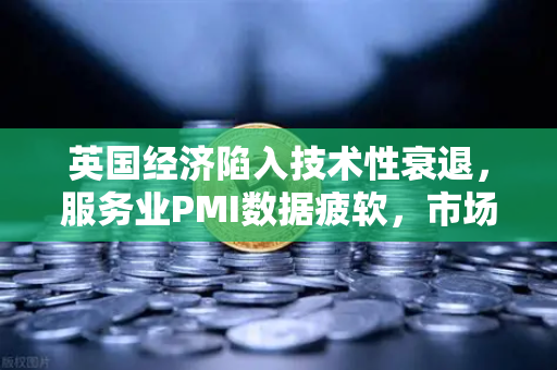 英国经济陷入技术性衰退，服务业PMI数据疲软，市场动荡与投资策略再审视