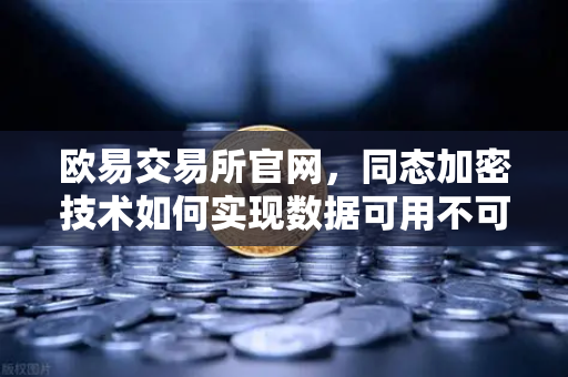 欧易交易所官网，同态加密技术如何实现数据可用不可见的隐私革命