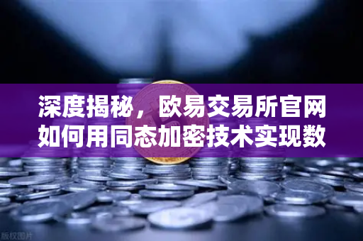 深度揭秘，欧易交易所官网如何用同态加密技术实现数据可用不可见