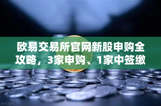 欧易交易所官网新股申购全攻略，3家申购、1家中签缴款、1家上市深度解析