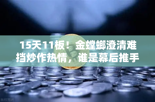 15天11板！金螳螂澄清难挡炒作热情，谁是幕后推手？游资手法深度解析