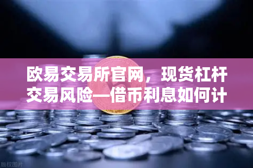欧易交易所官网,现货杠杆交易风险—借币利息如何计算?深度解析与实战指南-第1张图片-欧易交易所 欧易交易所官网,现货杠杆交易风险—借币利息如何计算?深度解析与实战指南-第1张图片-欧易交易所