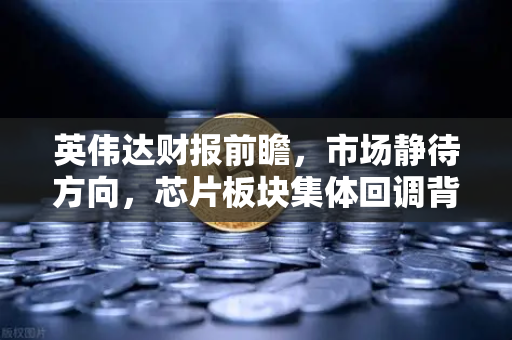 英伟达财报前瞻，市场静待方向，芯片板块集体回调背后的真相