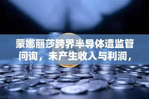 蒙娜丽莎跨界半导体遭监管问询，未产生收入与利润，欧易交易所官网警示伪概念炒作风险