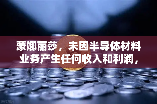 蒙娜丽莎，未因半导体材料业务产生任何收入和利润，跨界炒作风险警示