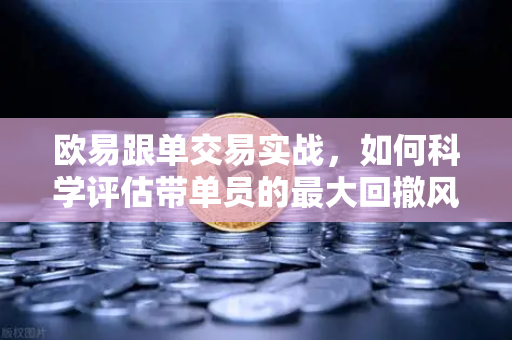 欧易跟单交易实战，如何科学评估带单员的最大回撤风险？