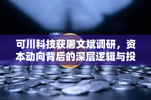 可川科技获屠文斌调研，资本动向背后的深层逻辑与投资启示
