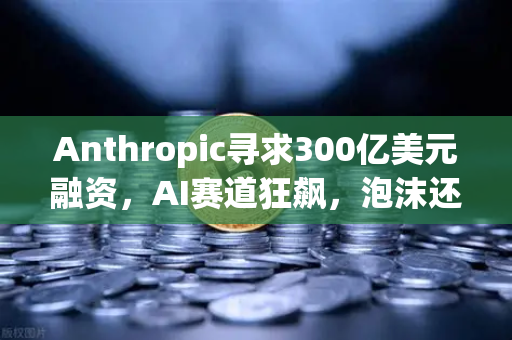 Anthropic寻求300亿美元融资，AI赛道狂飙，泡沫还是新起点？