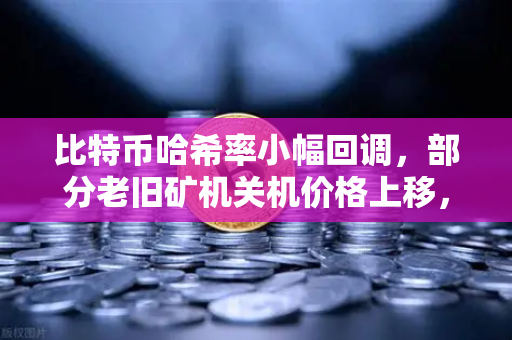 比特币哈希率小幅回调，部分老旧矿机关机价格上移，矿工如何应对市场变局？