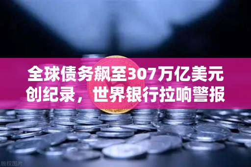 全球债务飙至307万亿美元创纪录，世界银行拉响警报，经济风暴眼下的数字资产避风港在哪？