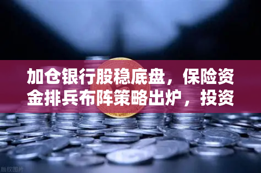加仓银行股稳底盘，保险资金排兵布阵策略出炉，投资新风口下的智慧布局