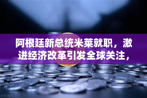 阿根廷新总统米莱就职，激进经济改革引发全球关注，欧易交易所下载需求激增-第1张图片-欧易交易所
