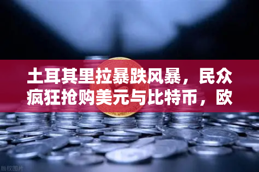 土耳其里拉暴跌风暴,民众疯狂抢购美元与比特币,欧易交易所流量激增-第1张图片-欧易交易所 土耳其里拉暴跌风暴,民众疯狂抢购美元与比特币,欧易交易所流量激增-第1张图片-欧易交易所