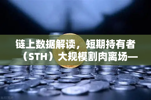 链上数据解读,短期持有者(STH)大规模割肉离场—市场底部信号还是风险警报?-第1张图片-欧易交易所 链上数据解读,短期持有者(STH)大规模割肉离场—市场底部信号还是风险警报?-第1张图片-欧易交易所