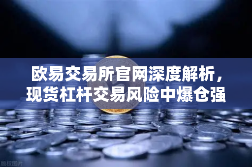欧易交易所官网深度解析,现货杠杆交易风险中爆仓强平价格的计算原理-第1张图片-欧易交易所 欧易交易所官网深度解析,现货杠杆交易风险中爆仓强平价格的计算原理-第1张图片-欧易交易所