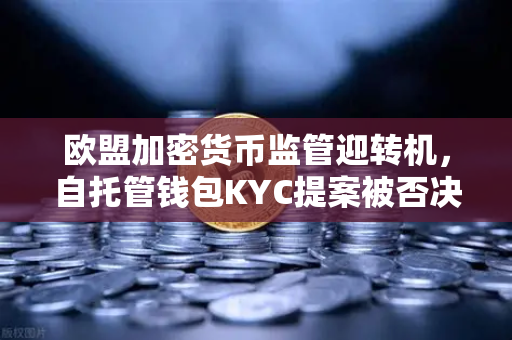 欧盟加密货币监管迎转机，自托管钱包KYC提案被否决，欧易交易所合规化进程加速-第1张图片-欧易交易所
