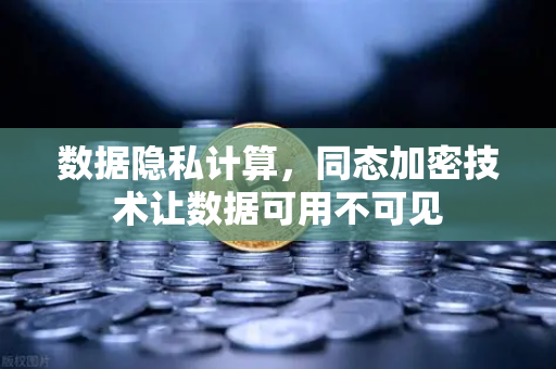 数据隐私计算，同态加密技术让数据可用不可见-第1张图片-欧易交易所
