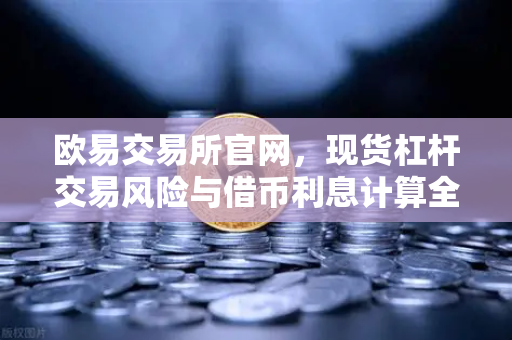 欧易交易所官网，现货杠杆交易风险与借币利息计算全解析-第1张图片-欧易交易所