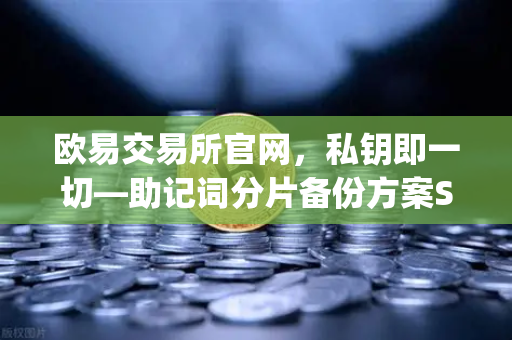 欧易交易所官网，私钥即一切—助记词分片备份方案Shamir’s Secret Sharing全面解析-第1张图片-欧易交易所