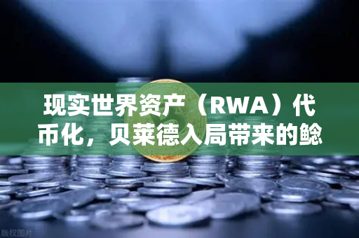 现实世界资产（RWA）代币化，贝莱德入局带来的鲶鱼效应