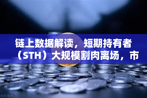 链上数据解读，短期持有者（STH）大规模割肉离场，市场底部信号浮现？
