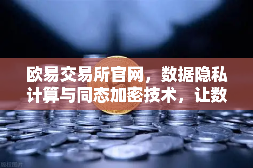 欧易交易所官网，数据隐私计算与同态加密技术，让数字资产交易可用不可见-第1张图片-欧易交易所