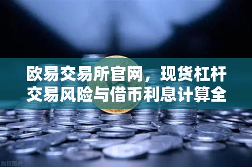 欧易交易所官网，现货杠杆交易风险与借币利息计算全解析