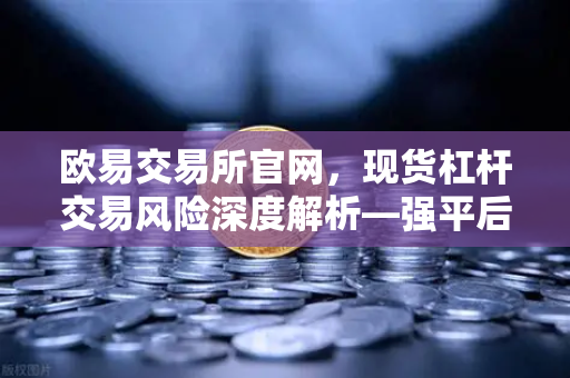 欧易交易所官网，现货杠杆交易风险深度解析—强平后你的资产会发生什么？