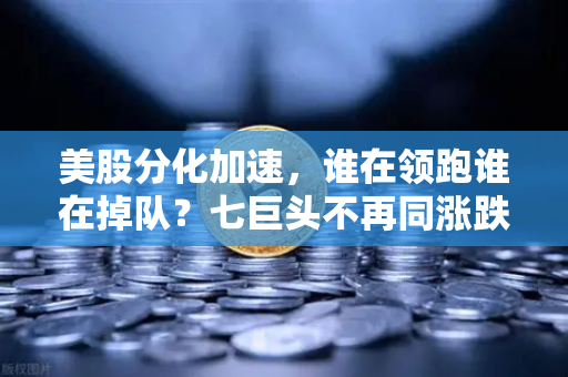 美股分化加速，谁在领跑谁在掉队？七巨头不再同涨跌的深层逻辑